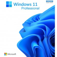 Windows 11 Professional - Elektronik Lisans
